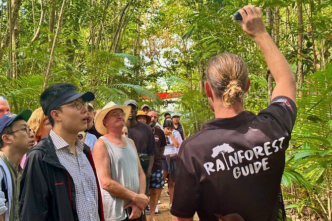 Cape Tribulation, Mossman Gorge, and Daintree Rainforest Day Trip - What to pack for humidity, downpours, and a long bus day
