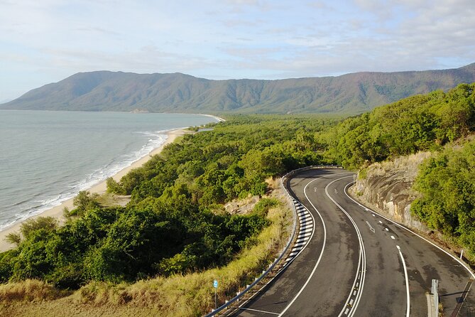 Cape Tribulation, Mossman Gorge, and Daintree Rainforest Day Trip - Price and value for $164.25 per person