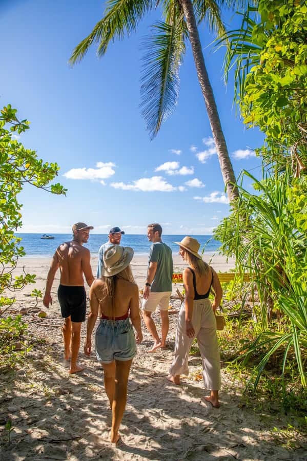 Cape Tribulation Ocean Safari - Great Barrier Reef Adventure - The Fast 25-Minute Cruise and Why It Changes the Reef Experience