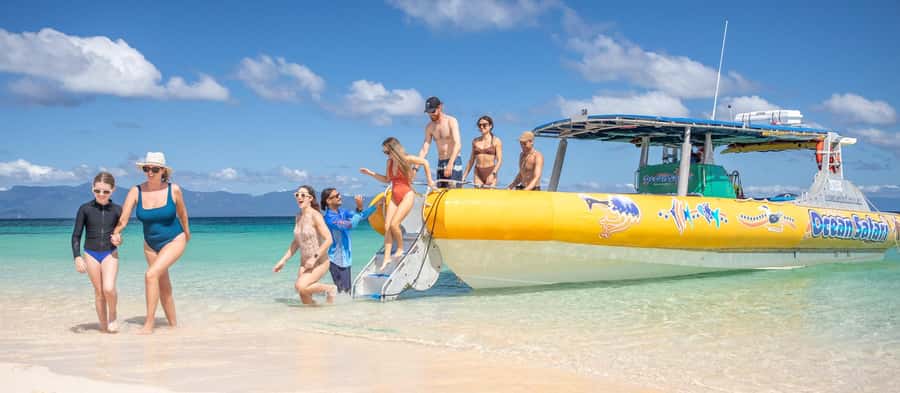 Cape Tribulation Ocean Safari - Great Barrier Reef Adventure - Practical Tips for a Smoother Day on the Daintree Coast