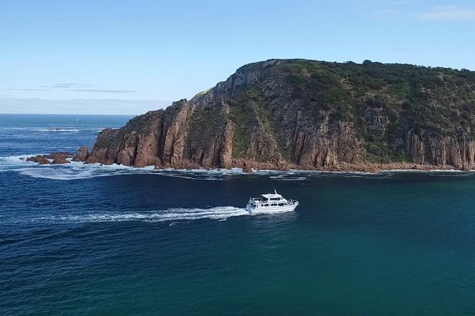 Cape Woolamai Sightseeing Cruise from San Remo - San Remo Jetty Start, and Why an Hour Works