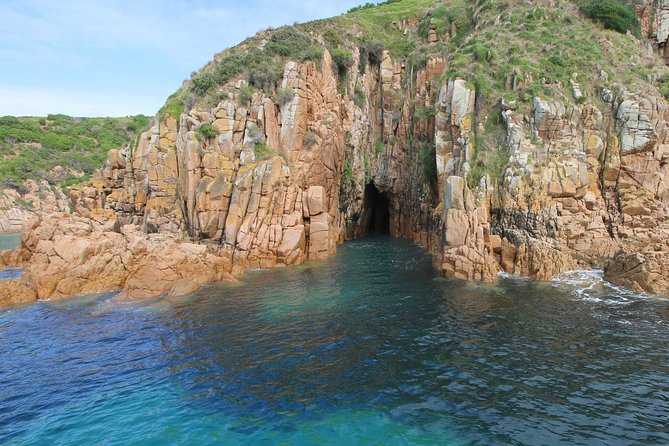 Cape Woolamai Sightseeing Cruise from San Remo - On-Board Comfort: Indoor Seating, Tea and Cake, and Kids’ Energy Levels