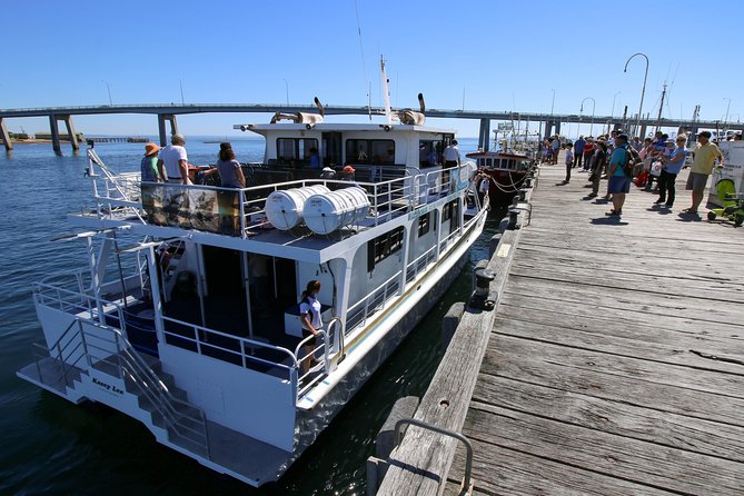 Cape Woolamai Sightseeing Cruise from San Remo - Getting the Most From Your Cruise Day