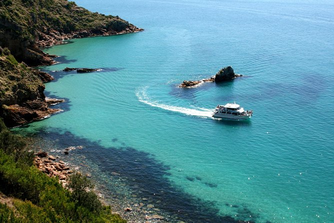 Cape Woolamai Sightseeing Cruise from San Remo - Who Should Book, and Who Might Want to Skip