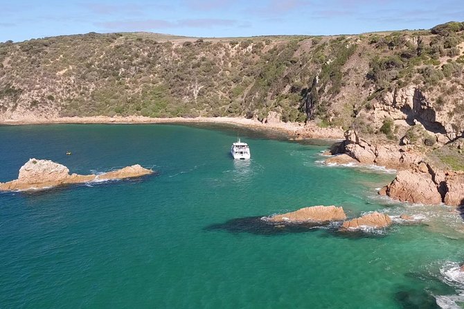 Cape Woolamai Sightseeing Cruise from San Remo - Cape Woolamai Cliffs and Caves, the Views You Actually Pay For
