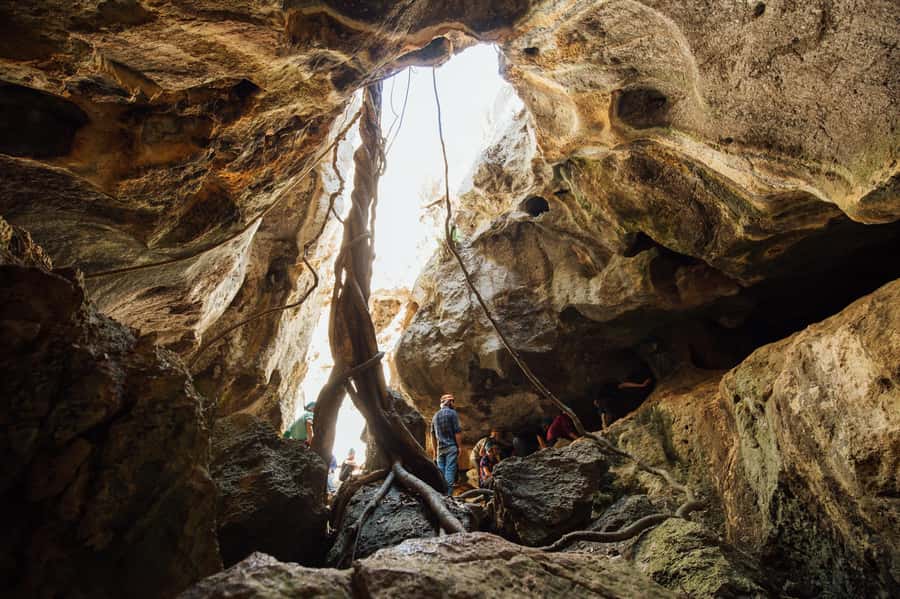 Capricorn Caves: 120 Minute Capricorn Adventurer Tour - Key moments that make this tour worth your time
