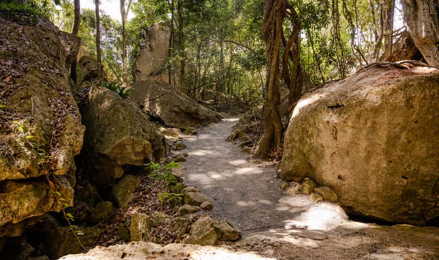 Capricorn Caves, Australia: 45-Minute Cathedral Cave Tour - Cathedral Cave acoustics: when a cave becomes an instrument
