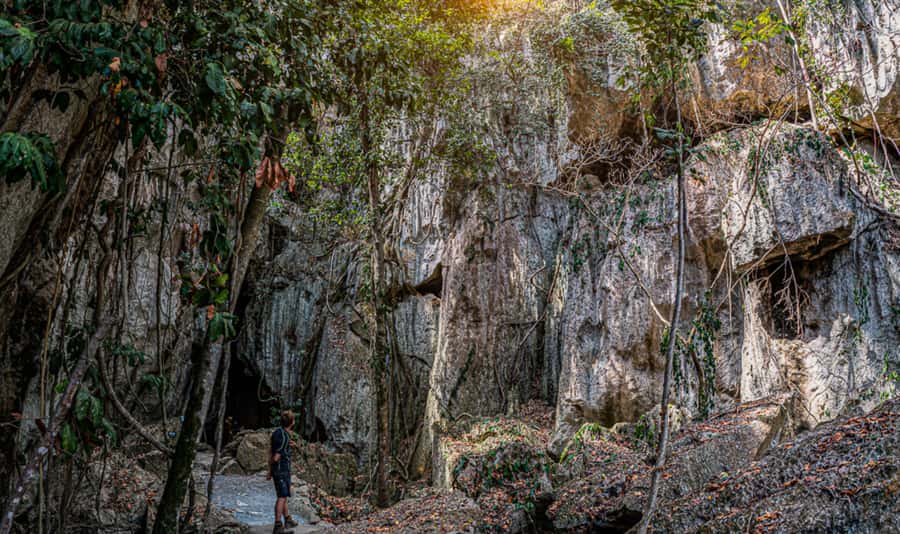 Capricorn Caves, Australia: 45-Minute Cathedral Cave Tour - Price and value: is $27 worth it