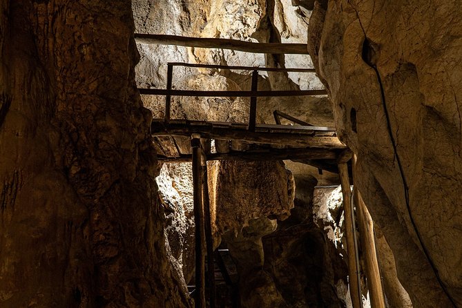 Capricorn Caves Cathedral Cave Tour - Limestone formations and forest life: what to watch for as you go