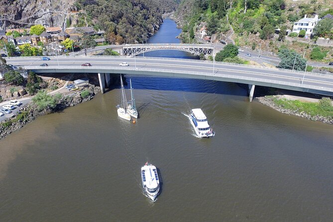 Cataract Gorge Cruise 11:30 am - The Boat Experience: Comfortable Seats, Cozy Vibe, and Electric Quiet