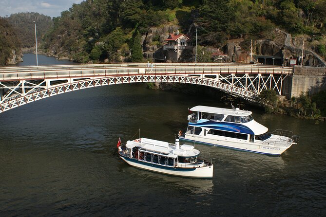 Cataract Gorge Cruise 11:30 am - Where You Board Tamar River Cruises (and Why It Matters)