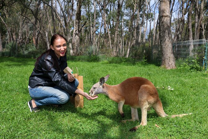 Cleland Wildlife Park Experience - from Adelaide including Mt Lofty Summit - The small-group format and guide style that keep the day easy