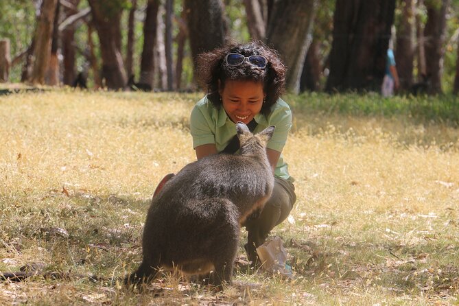Cleland Wildlife Park Experience - from Adelaide including Mt Lofty Summit - FAQ