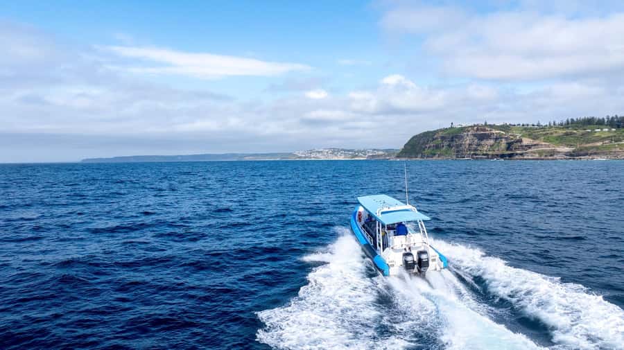 Coastal 2.5-hour Adventure Boat Tour from Newcastle - Key highlights to look for on the Hunter Coast cruise
