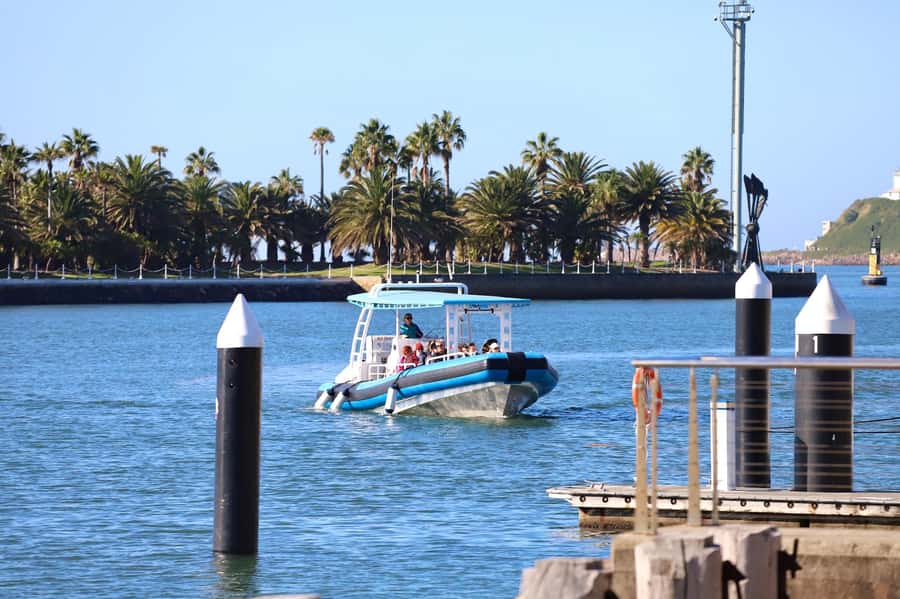Coastal 2.5-hour Adventure Boat Tour from Newcastle - Why This 2.5-Hour Hunter Coast Cruise Feels Like a Front-Row Seat