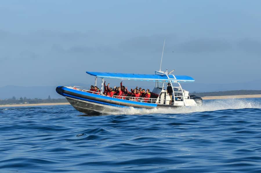 Coastal 2.5-hour Adventure Boat Tour from Newcastle - 360-Degree Views, Real-World Marine Life, and Why It Matters