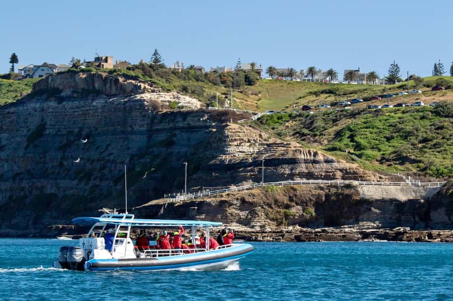 Coastal 2.5-hour Adventure Boat Tour from Newcastle - Redhead Shark Watchtower, Moon Island, Pinney’s Headland, and Shark Bay