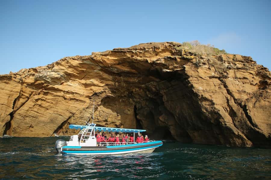 Coastal 2.5-hour Adventure Boat Tour from Newcastle - Where You Meet the Boat: Dock C at Newcastle Cruising Yacht Club