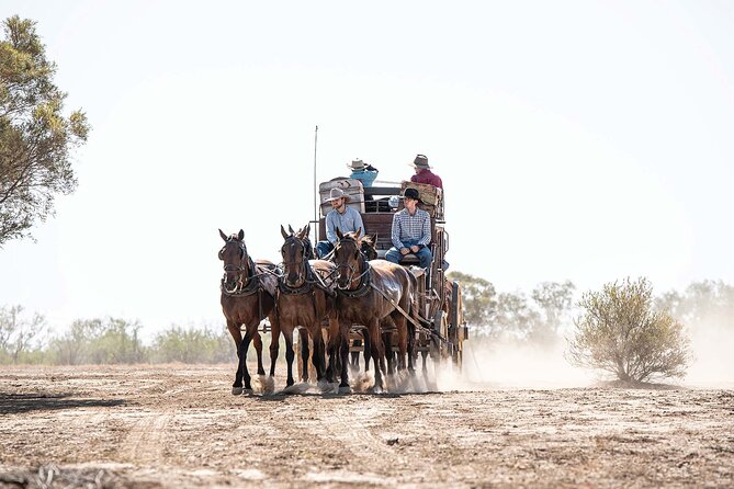 Cobb & Co Stagecoach Experience in Longreach - Cobb & Co in Longreach: what this half-day really feels like