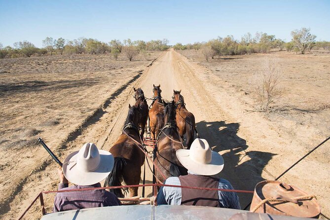 Cobb & Co Stagecoach Experience in Longreach - Timing, comfort, and what to bring for a dusty, old-school ride