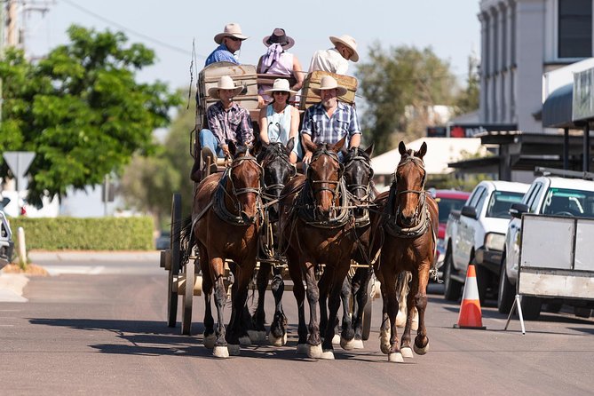 Cobb & Co Stagecoach Experience in Longreach - Price and value: is $118.35 worth it?