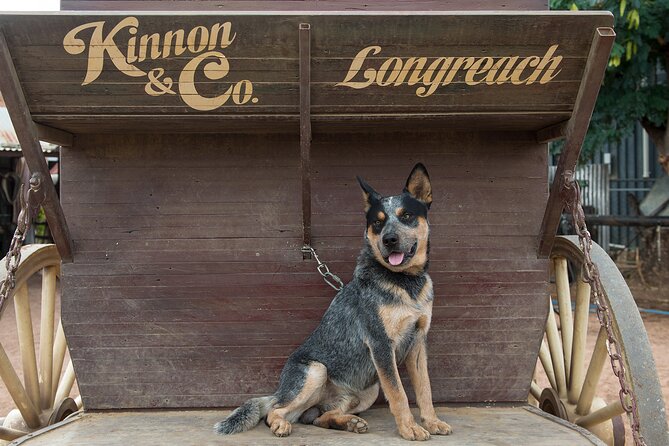 Cobb & Co Stagecoach Experience in Longreach - Who should book this Cobb & Co day in Longreach
