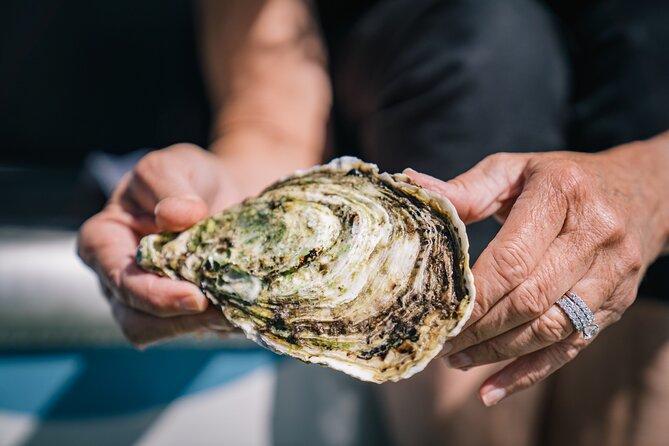 Coffin Bay Day Tour - A Taste of Coffin Bay - Oyster HQ seafood lunch: the part that makes the day feel worth it