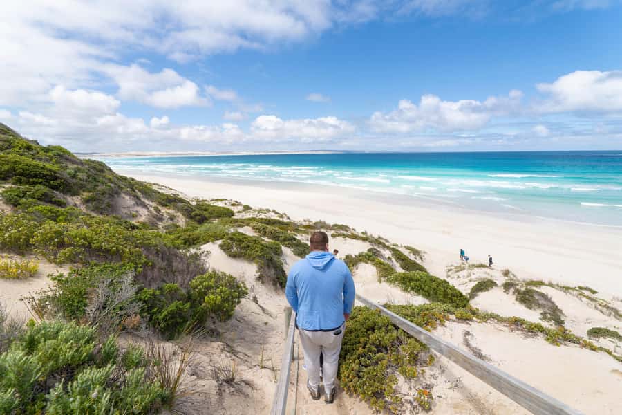 Coffin Bay National Park: Highlights and Off-Road 4WD Tour - Key Highlights That Make This Tour Worth It
