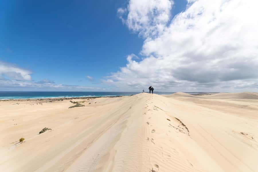 Coffin Bay National Park: Highlights and Off-Road 4WD Tour - Who Should Book This Tour, and Who Might Skip It