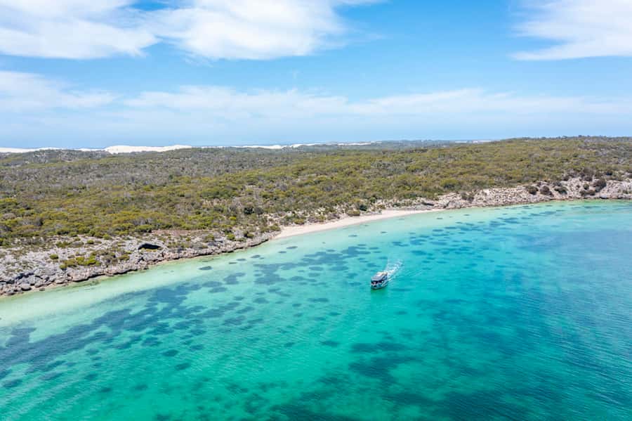 Coffin Bay: Oyster Farm Boat Tour with Wading & 12 Oysters - Key highlights to look for
