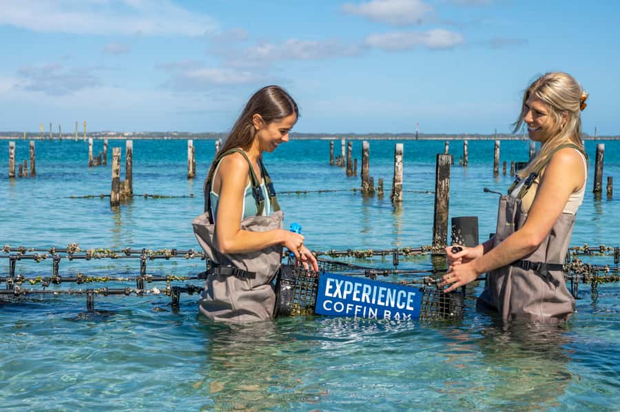 Coffin Bay: Oyster Farm Boat Tour with Wading & 12 Oysters - What to bring: the wading essentials that actually matter
