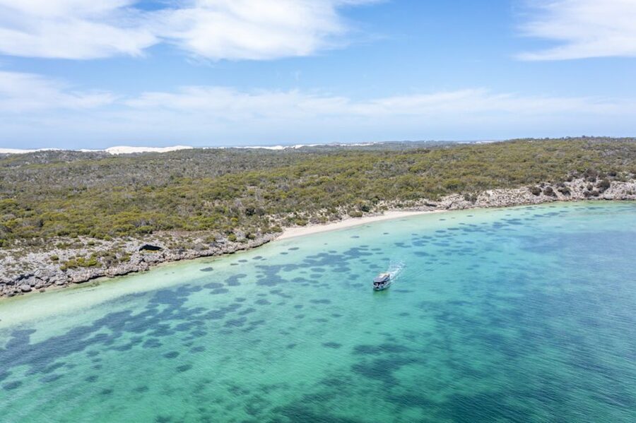 Coffin Bay: Oyster Farm Boat Tour with Wading & 12 Oysters - The viewpoint tasting stop, and why it adds real value