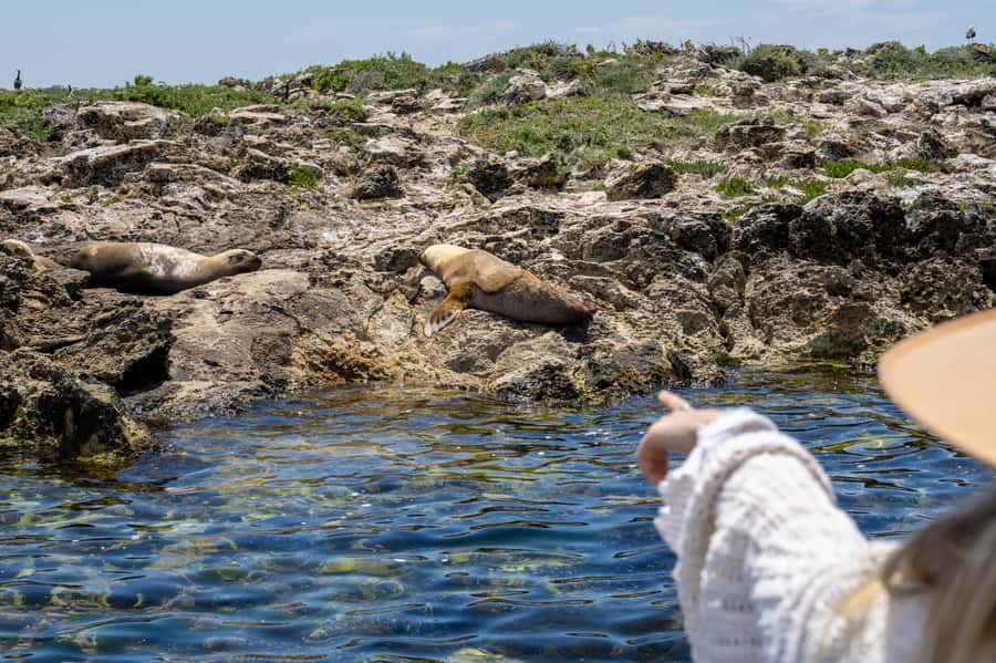 Coffin Bay: Oyster Farm Boat Tour with Wading & 12 Oysters - Price and 3-hour pacing: getting value from $130