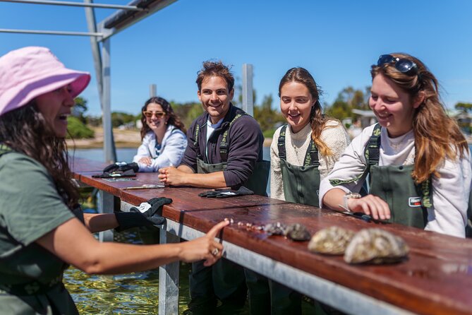 Coffin Bay Oyster Farm Wading Tour & Tasting Experience - The Farmer-Led Story: From Matthew Flinders to Oyster Farming