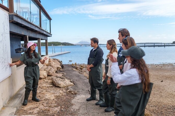 Coffin Bay Oyster Farm Wading Tour & Tasting Experience - Hands-On Shucking Lesson: Turning Tasting Into a Skill