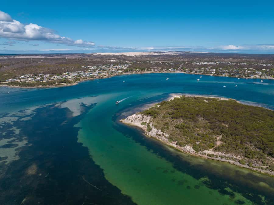 Coffin Bay: Short and Sweet Oyster Farm Tour - Dolphin Chances and the Coastal Reality Check