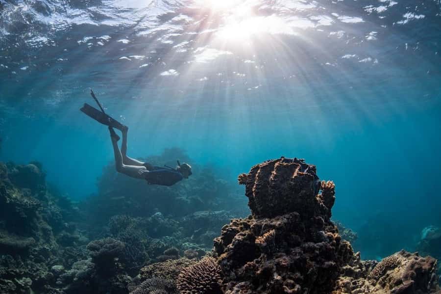 Coral Bay: Full Day Ningaloo Reef with Manta Rays Tour - Key Things to Know Before You Go