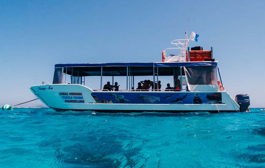 Coral Bay Glass-Bottom Boat Tour - Meet at 30 Robinson St, then walk through shallow water