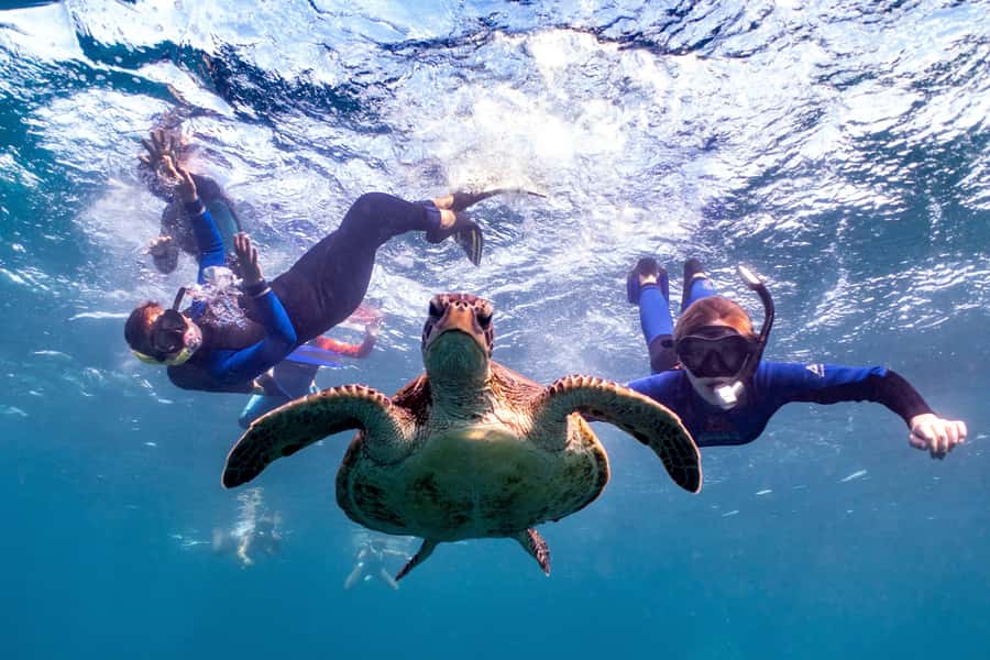 Coral Bay: Marine Eco Safari - Swim With Manta Rays - Key things I learned (and you should know)
