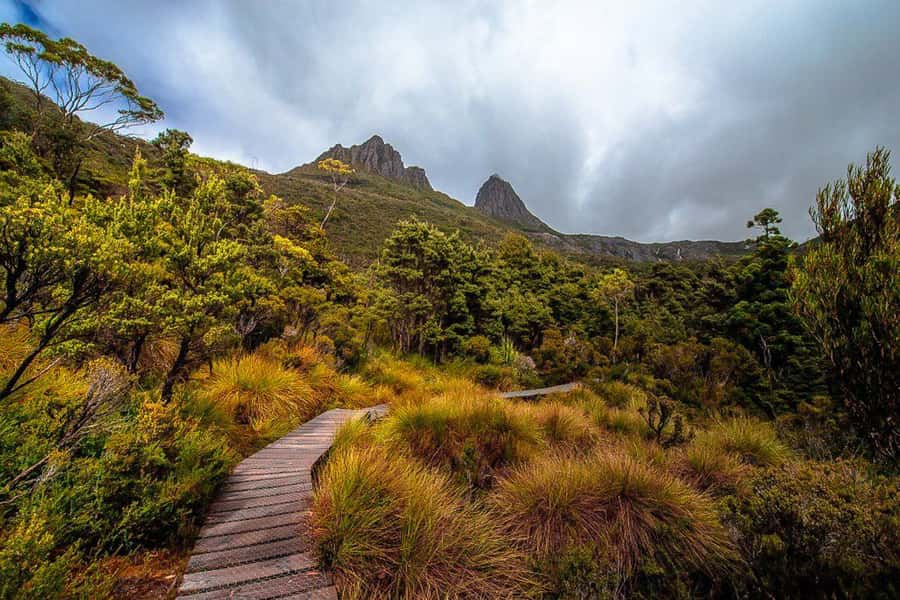 Cradle Mountain: Day Trip from Launceston with Lunch - Cradle Mountain day trip from Launceston, what the $138 covers