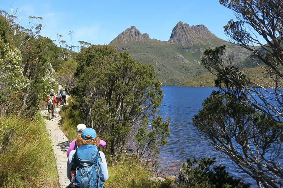 Cradle Mountain: Day Trip from Launceston with Lunch - Sheffield break: murals, free time, and a whiskey tasting option