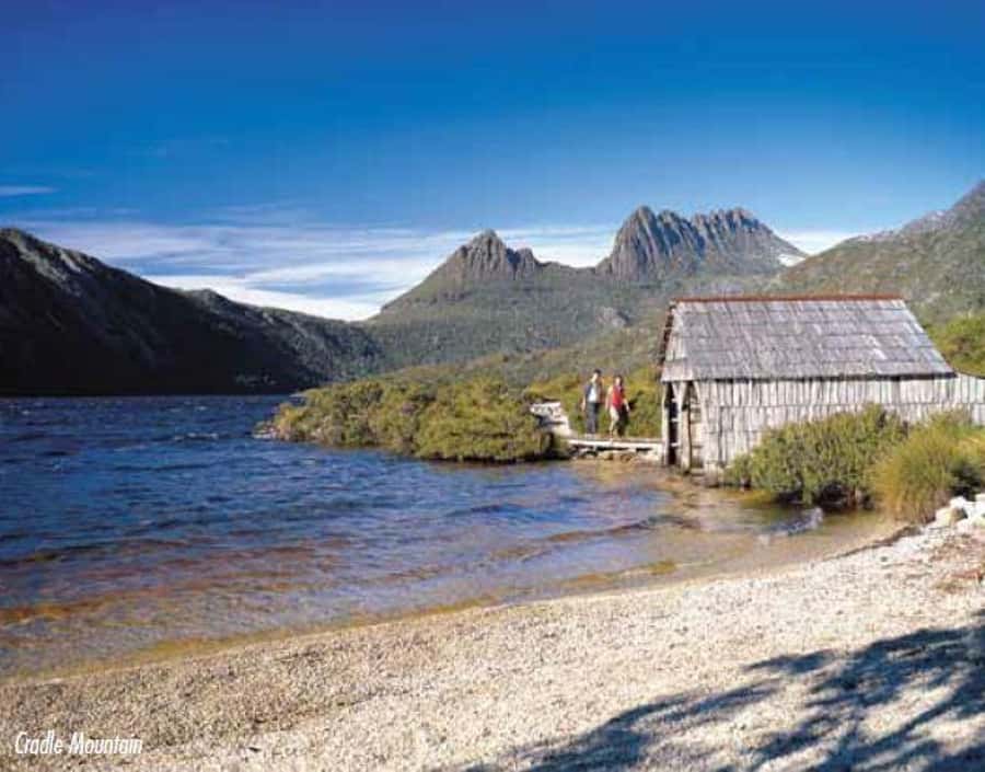 Cradle Mountain National Park by Coach from Launceston - A Day Trip to Cradle Mountain That Actually Works