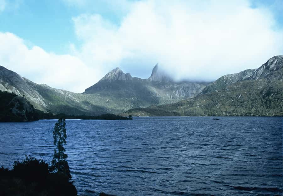 Cradle Mountain National Park by Coach from Launceston - Cethana Dam and the Wildlife Game Plan