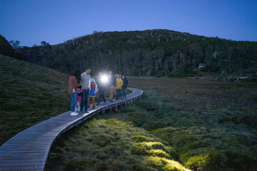 Cradle Mountain Wildlife Spotting after Dark - Cradle Valley Walk Boardwalks and Overland Track Chances