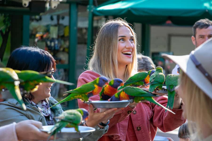 Currumbin Wildlife Sanctuary Entry Ticket - Key things that make Currumbin tick