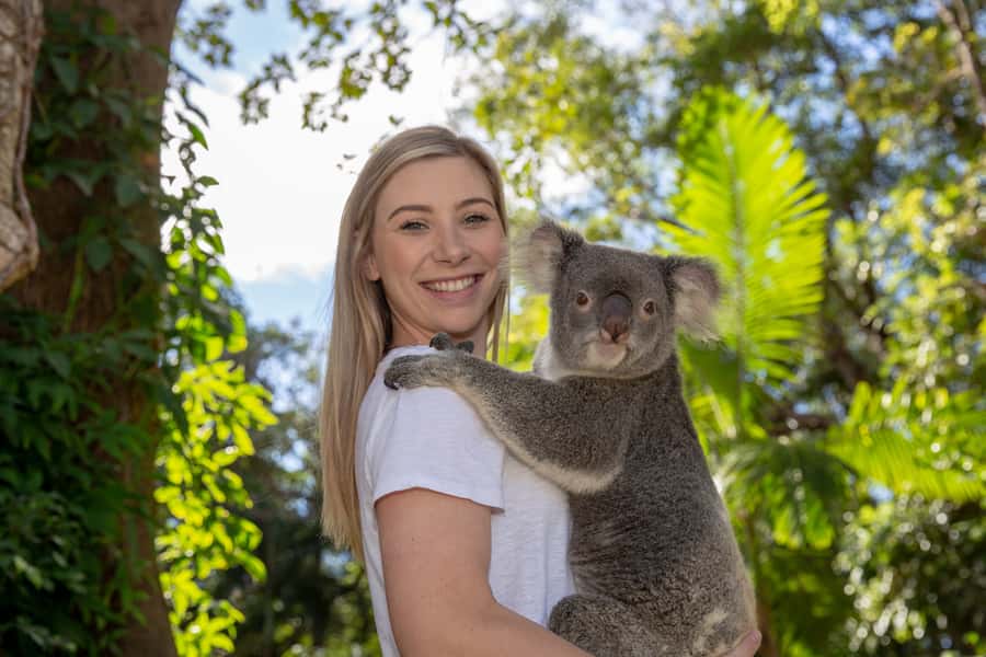 Currumbin Wildlife Sanctuary Entry Ticket - Currumbin Wildlife Sanctuary entry ticket: what $49 buys you