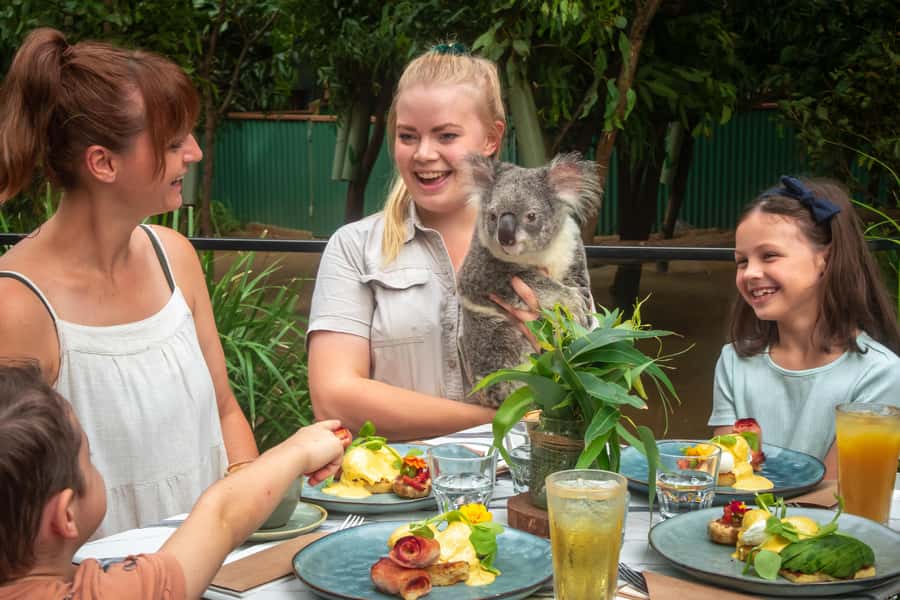 Currumbin Wildlife Sanctuary Entry Ticket - Wild Skies Free Flight Bird Show and wild lorikeet feeding