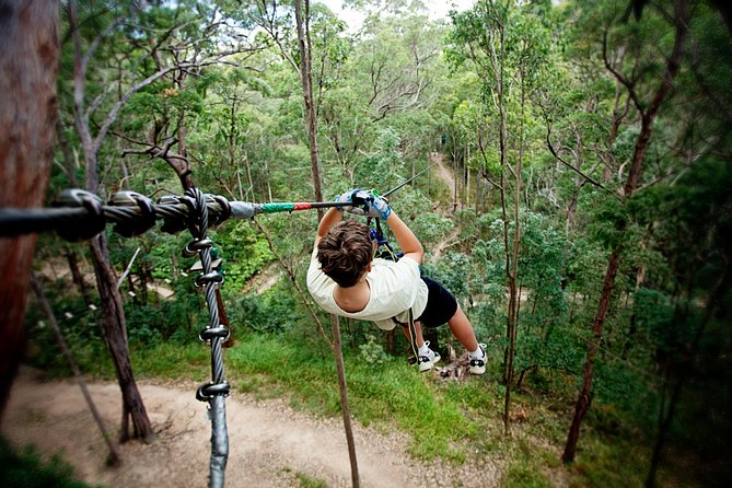 Currumbin Wildlife Sanctuary General Entry Ticket - Animal viewing in habitats that feel closer to the real thing
