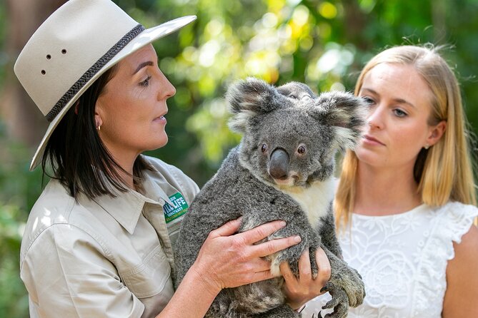 Currumbin Wildlife Sanctuary General Entry Ticket - Lost Valley: the 5-acre rainforest that turns the whole day cooler