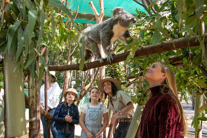 Currumbin Wildlife Sanctuary General Entry Ticket - Ticket value: what general entry covers (and what it does not)
